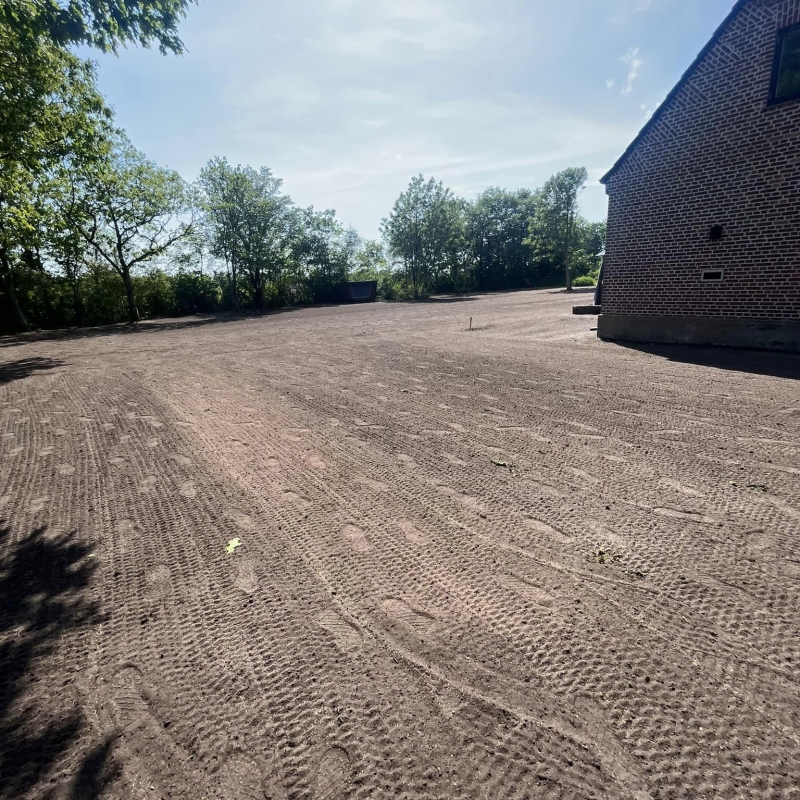 anlægning af græsplæne