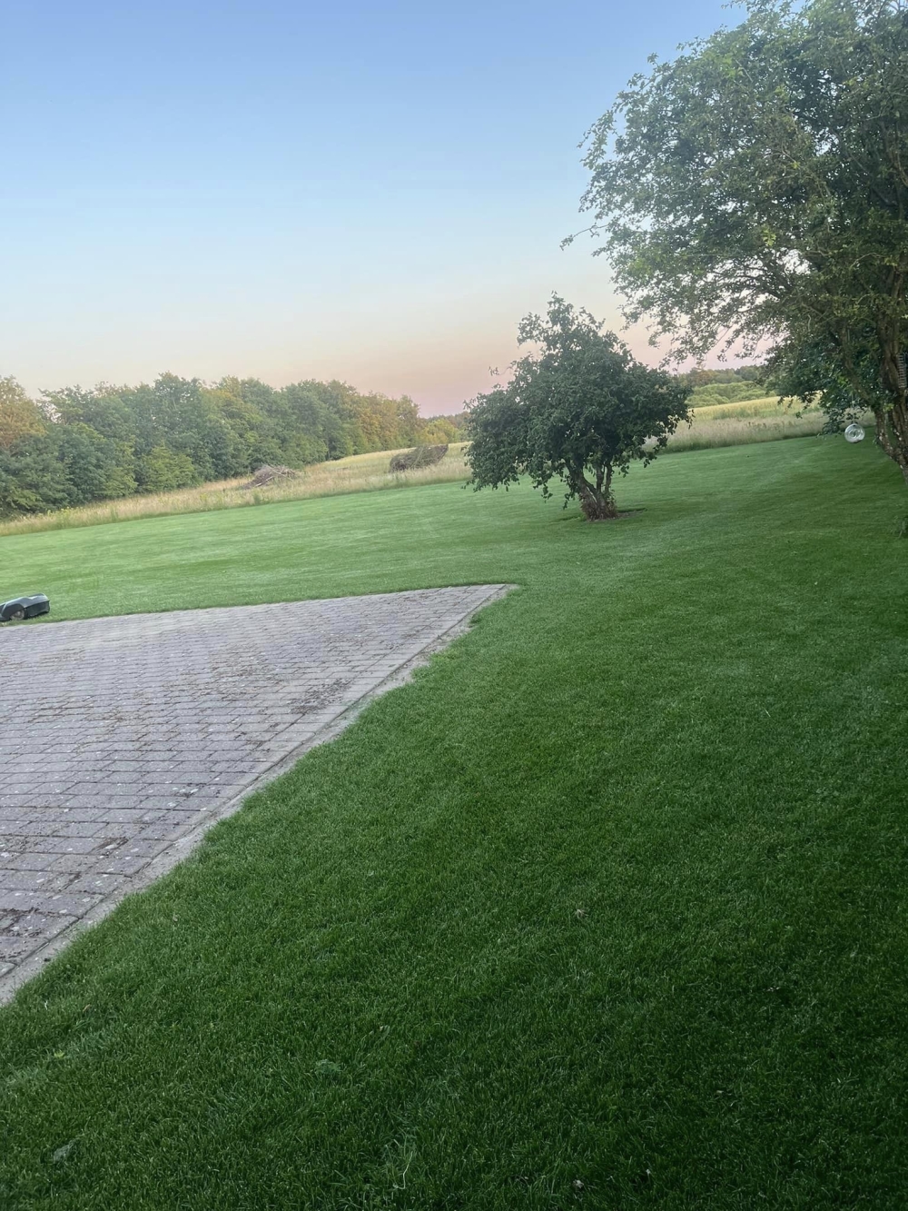 anlægning af græsplæne