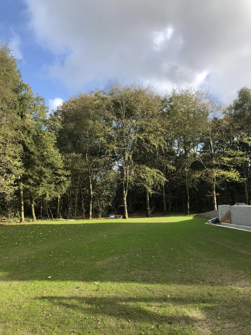 anlægning af græsplæne